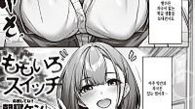모모이로 스위치
